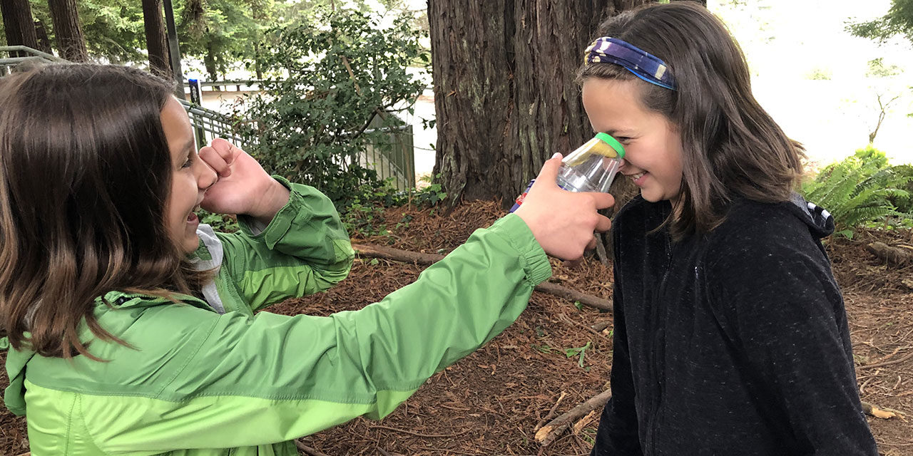 Students Take Part in Environmental Education