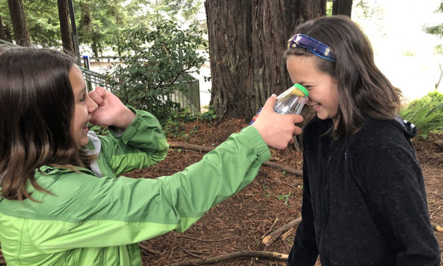 Students Take Part in Environmental Education